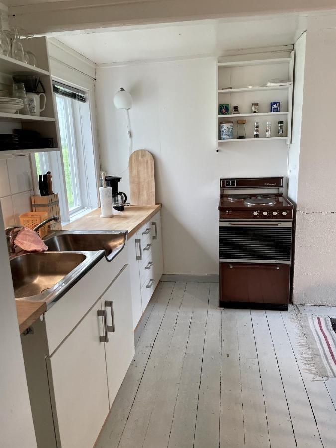 Grandmothers Cosy Farmhouse Fredvang エクステリア 写真